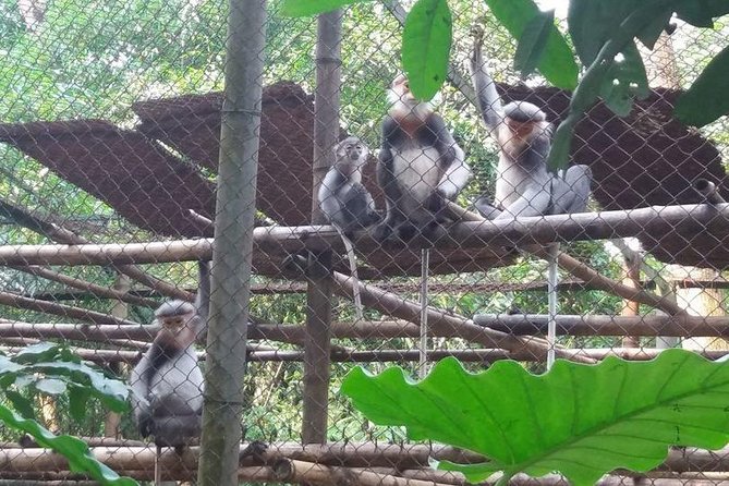 From Hanoi: Cuc Phuong National Park Day Trip by Private Car - Is the $135.14 price good value?
