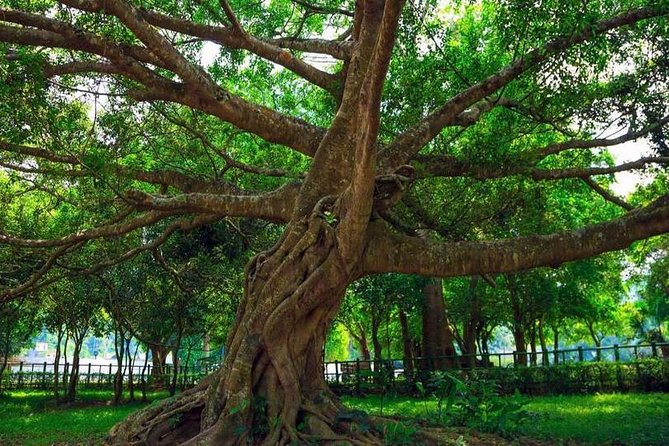 From Hanoi: Cuc Phuong National Park Day Trip by Private Car - Who should book this day trip?