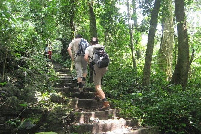 From Hanoi: Cuc Phuong National Park Day Trip by Private Car - Five hours among Cuc Phuong’s forest paths