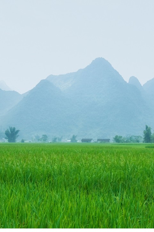 From Hanoi: Easy Rider 2 Day Motorbike Tour of Cao Bang Loop - What is included, and what is not