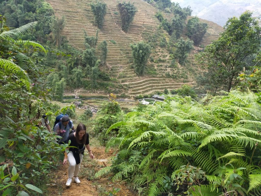 From Hanoi: Guided 2-Day Tour of Sa Pa with Lunch & Dinner - Bamboo forest, Giang Ta Chai, and the second trek