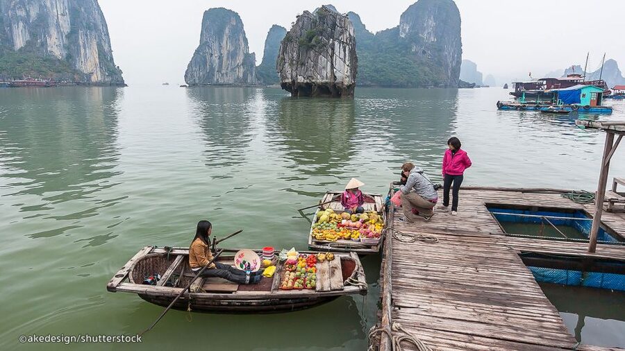 From Hanoi: Halong Bay Day Trip with Lunch and Transfers - Who should book, and who should think twice