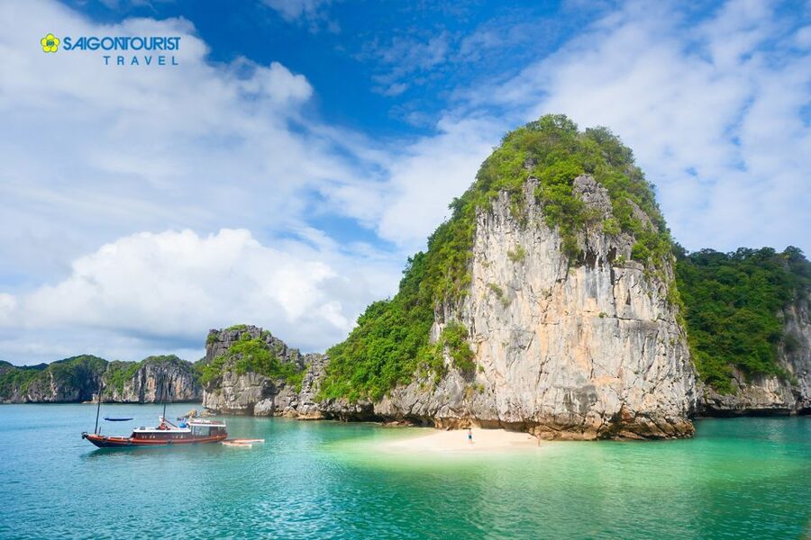 From Hanoi: Halong Bay Day Trip with Lunch and Transfers - Kayaking or bamboo boating into a mountain-ringed lagoon