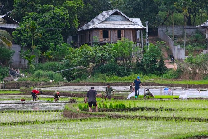 From Hanoi Hidden Gems of Mai Chau Explore Rural Villages by Bike - Who should book this Mai Chau tour?