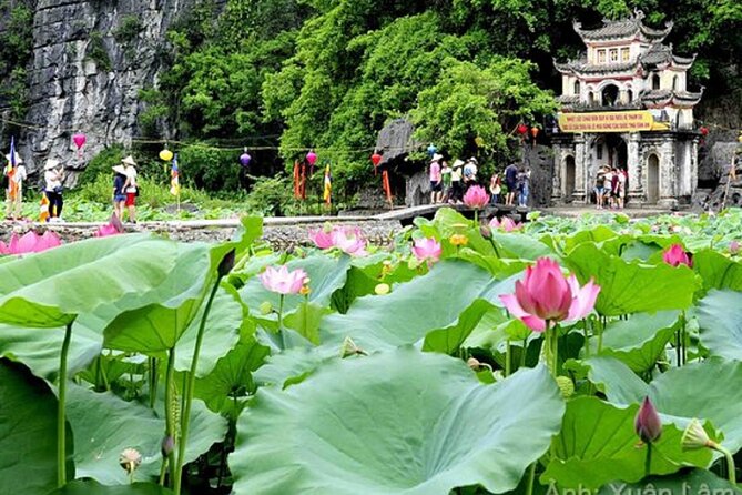 From Hanoi: Hoa Lu, Tam Coc, and Mua Cave Scenic Day Trip - Hoa Lu’s temples and Vietnam’s early capitals
