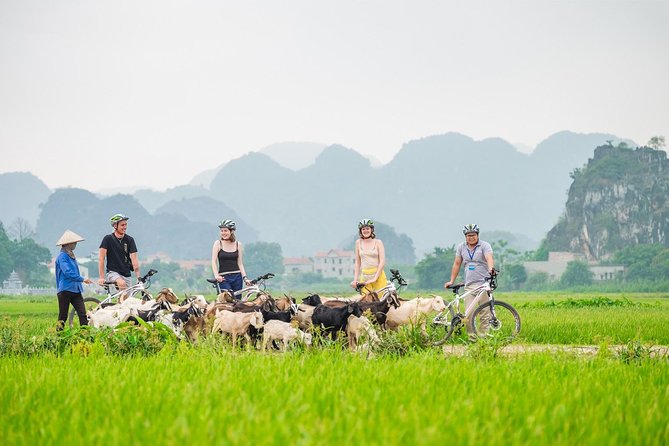 From Hanoi: Hoa Lu - Tam Coc boating - Cycling & Mua Cave visit - Key things to know before booking