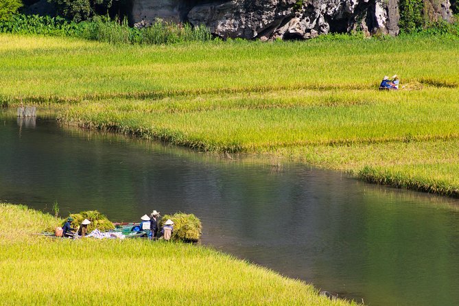 From Hanoi: Hoa Lu - Tam Coc boating - Cycling & Mua Cave visit - Who will enjoy this Ninh Binh day tour