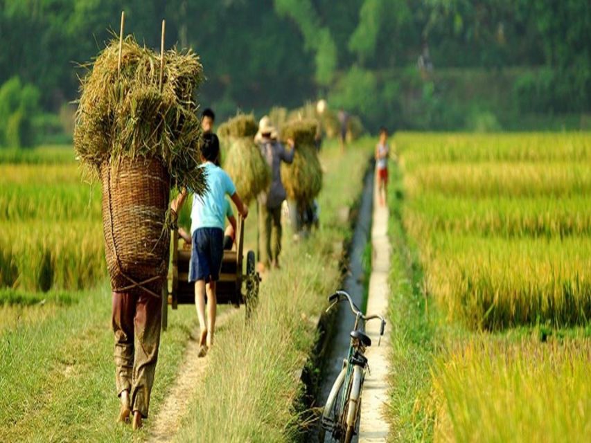 From Hanoi: Mai Chau Valley & Hill Tribes 2-Day Trek Tour - Lunch, checkout, and the journey home