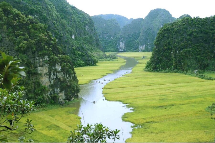 From Hanoi: Ninh Binh & Cuc Phuong National Park 2-Day Tour - Tam Coc by rowing boat
