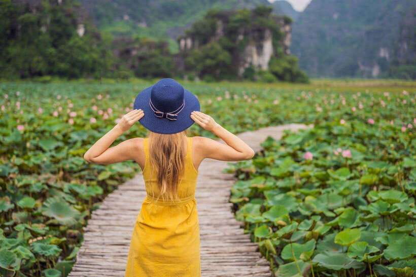 From Hanoi: Ninh Binh- Hoa Lu-Tam Coc- Mua Cave- Highlight - What the $44 price really covers