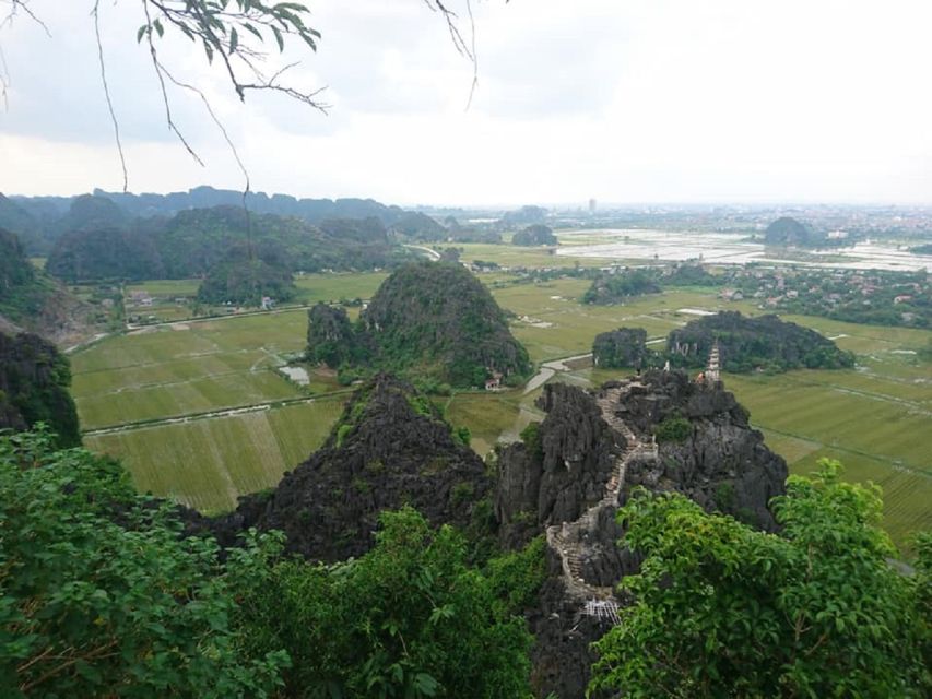 From Hanoi: Ninh Binh-Hoa Lu-Trang An-Mua-Cave-Buffet Lunch - Returning to Hanoi after a full day