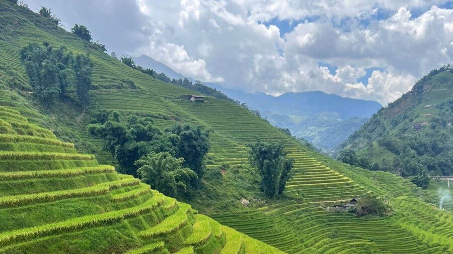 From Hanoi: Sapa 2D1N Homestay overnight by Morning bus - What the $60 price really covers