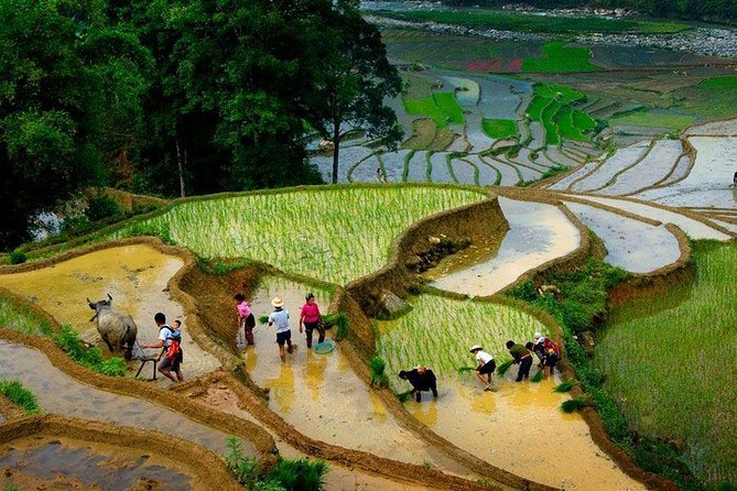 From Hanoi: Sapa Real Experience 2-Day 1 Night at Ethnic Homestay - Small details that make the decision easier