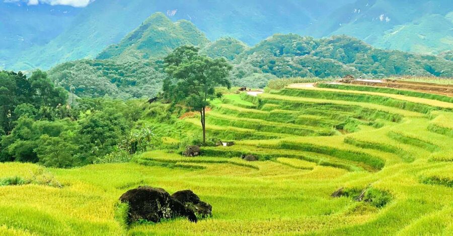 From Hanoi to Pu Luong: 2-Day Trip in Ethnic Villages - Why Pu Luong makes a good two-day escape