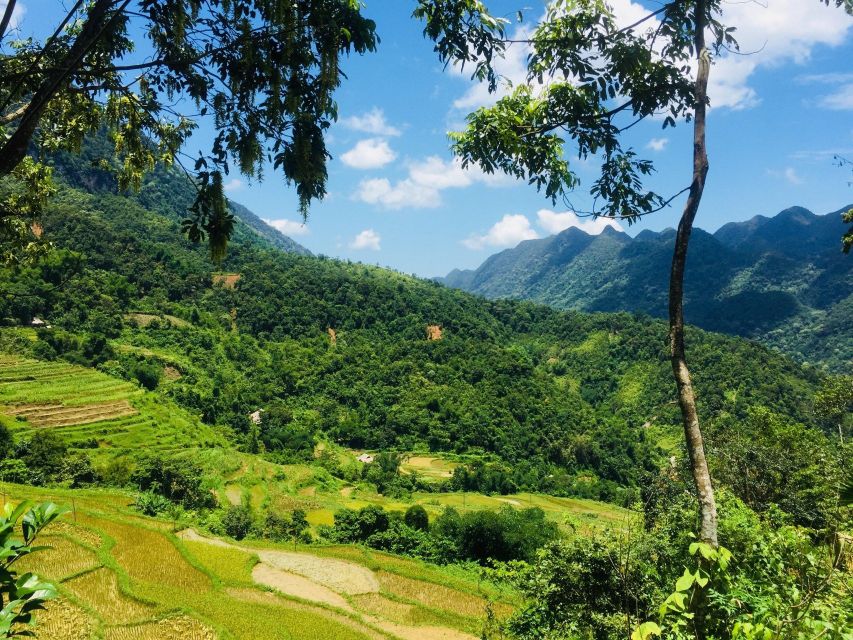 From Hanoi to Pu Luong: 2-Day Trip in Ethnic Villages - Pu Luong’s bamboo waterwheels