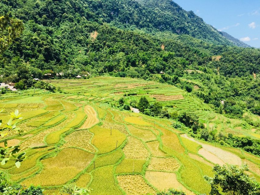 From Hanoi to Pu Luong: 2-Day Trip in Ethnic Villages - A bamboo boat ride on the Cham River