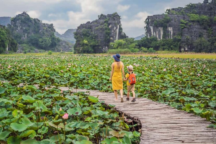 From Hanoi: Trang An Eco-tourism -Bai Dinh pagoda & Mua Cave - Lunch at Trang An Eco Holiday Retreat