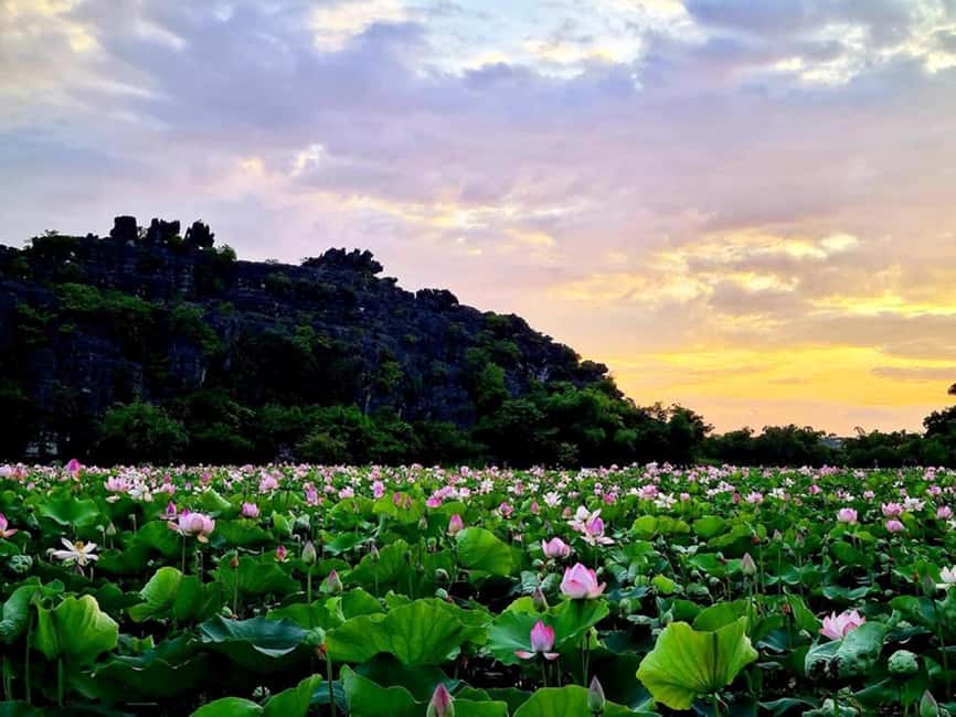 From Hanoi: Trang An eco-tourism - Hoa Lu ancient & Mua Cave - Should you book the Hoa Lu, Trang An, and Mua Cave tour?