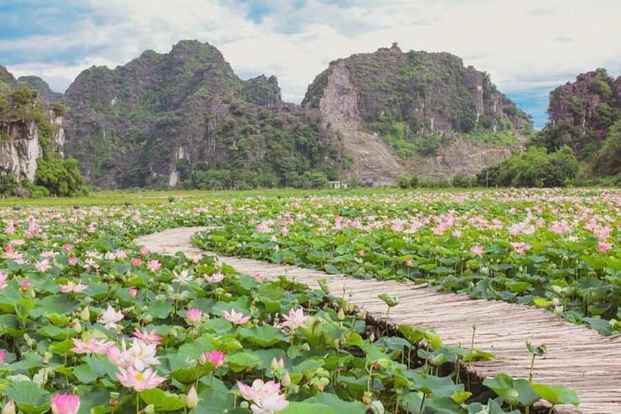 From Hanoi: Trang An eco-tourism - Hoa Lu ancient & Mua Cave - Transport, guides, and the pace of the day