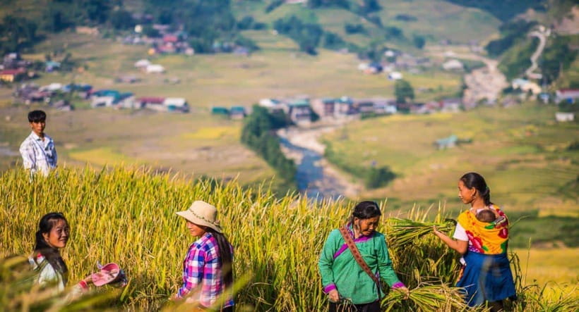 From Hanoi: Trek and Stay: 3-Day Sapa Highlands Adventure - Price, group style, and who gets the best value