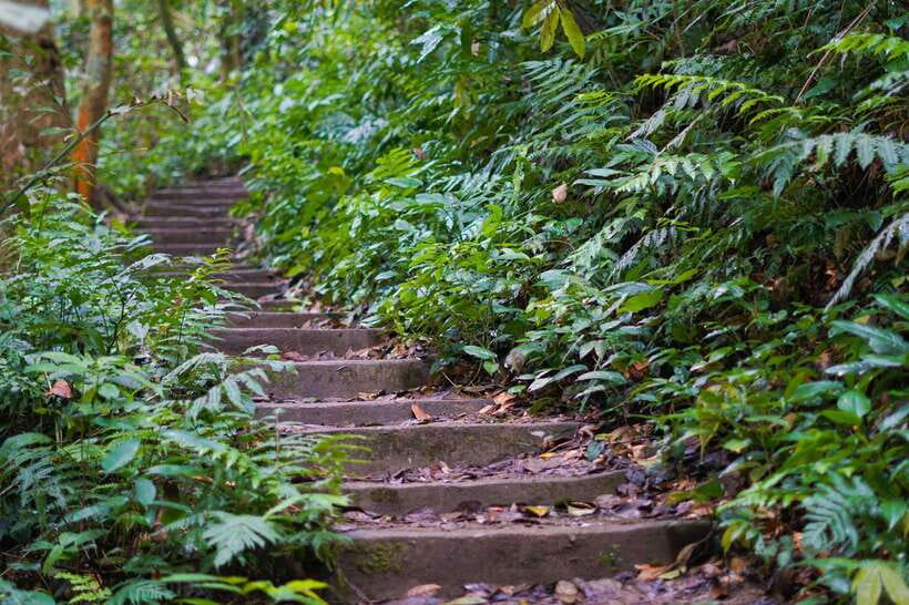 From Ninh Binh: Cuc Phuong National Park 1-Day Small Group - Who will enjoy this day most?