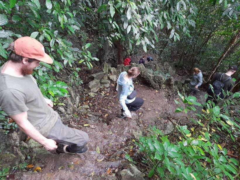 From Ninh Binh: Cuc Phuong National Park Trekking Day Tour - 11:00 at the Cuc Phuong Museum
