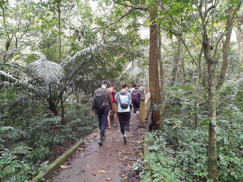From Ninh Binh: Cuc Phuong National Park Trekking Day Tour - 14:30 to the 1000-year-old tree