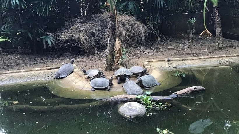 From Ninh Binh: Cuc Phuong - Van Long Small Group Tours - Choosing Option 1 or Option 2