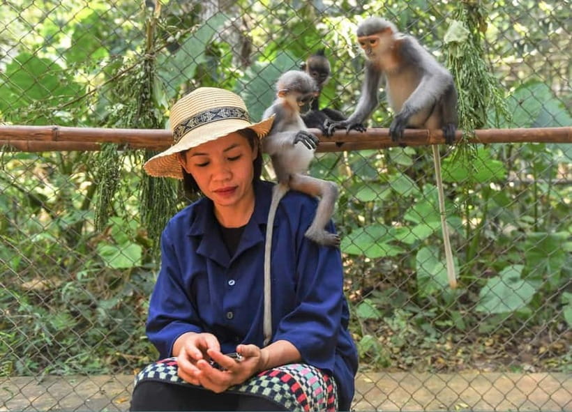 From Ninh Binh: Cuc Phuong - Van Long Small Group Tours - The Endangered Primate Rescue Center and Botanical Garden