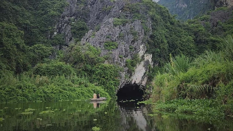 From Ninh Binh: Cuc Phuong - Van Long Small Group Tours - Ancient trees and a walk through tropical forest