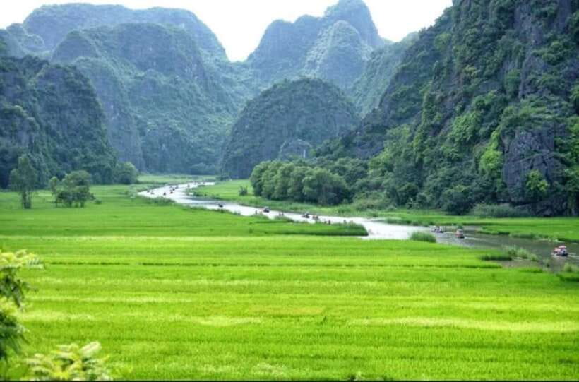From Ninh Binh: Hoa Lu, Trang An and Mua Cave Full Day - Lunch with local Vietnamese dishes