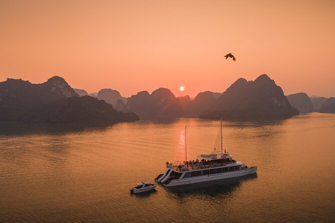 Full Day Group Tour in Lan Ha Bay - A polished new boat for a long day on the bay