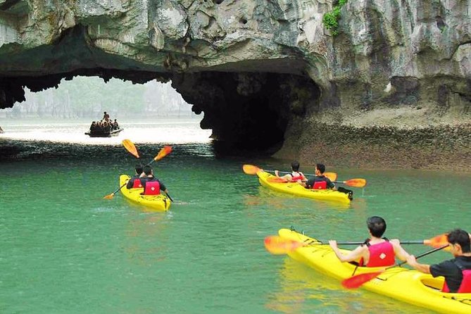Full Day Tour Halong Bay on Premium Cruise Starting from Hanoi - Buffet lunch with views from the boat