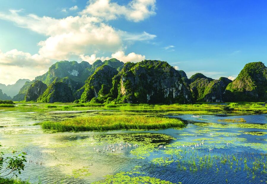 Full Day Trang An, Bich Dong Pagoda, Biking & Family Visit - What $68 buys you