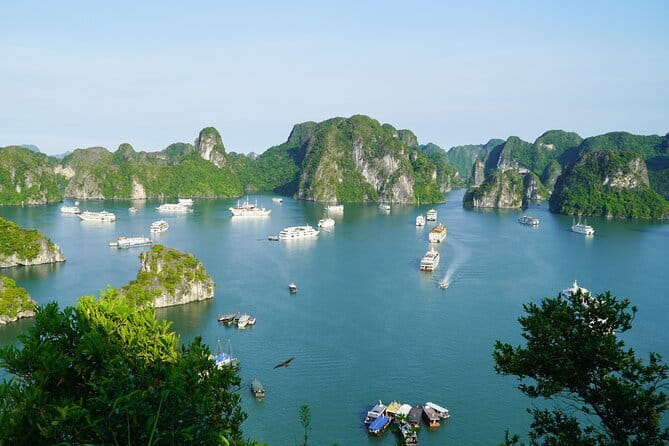 Ha Long Bay 1 Day Joined Luxury Tour - Why this day works from Hanoi
