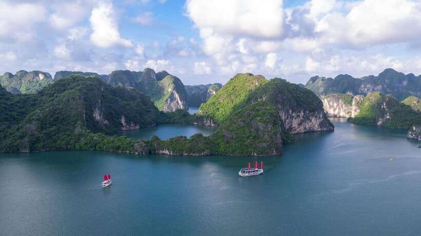 Ha Long Bay - Bai Tu Long Bay Luxury Boat Tour & Transfer - Who will enjoy this cruise most