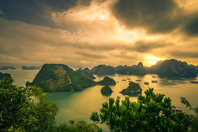 Ha Long Bay Cruise Day Tour-Cave, Kayaking,Ti top island & Lunch - What this $41 day trip really delivers
