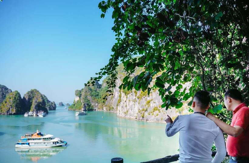 Ha Long Bay Day Trip with Best Price - Titop Island and the climb to the peak