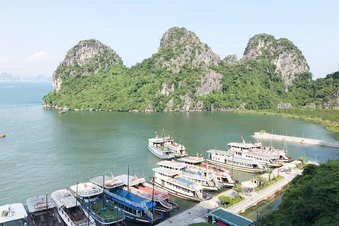 Ha Long Full Day 4-Hour Trip from Hanoi - Boarding at Tuan Chau and eating on the bay