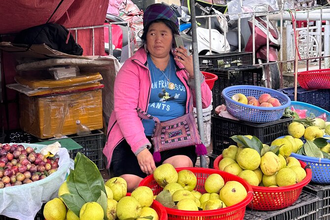 Ha Noi Car Transfer to Sapa or Vice Versa - Booking value, cancellation, and practical details