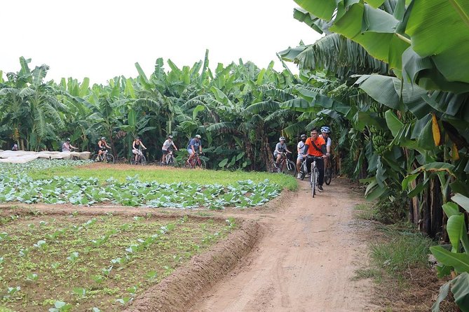 Half-Day Bicycle Tour Combine City & Countryside + Train Street - Starting in the Old Quarter with a bike fitting