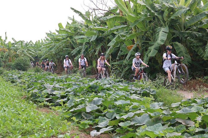 Half-Day Bicycle Tour Combine City & Countryside + Train Street - What the $49 price really covers
