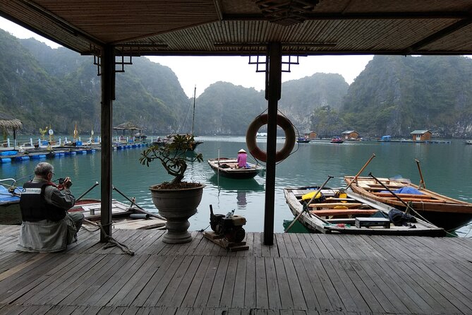 Half Day Explore Bai Tu Long Bay With Lunch, Cave and Kayaking - Who Should Book This Bai Tu Long Bay Cruise
