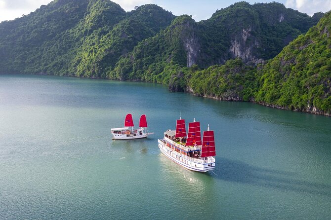 Halong Amazing Sail Luxury 1 Day Small Group Tour 7-Hour Cruising - Sung Sot Cave: Ha Long Bay’s biggest cave stop