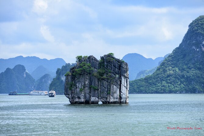 Halong Bay 6 Hours Cruise with Buffet, Sung Sot, Luon Cave, Titop - Why six hours on Halong Bay matters