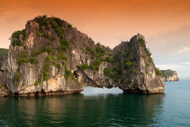Halong Bay 6 Hours Cruise with Buffet, Sung Sot, Luon Cave, Titop - Titop Island, beach time and the climb for views