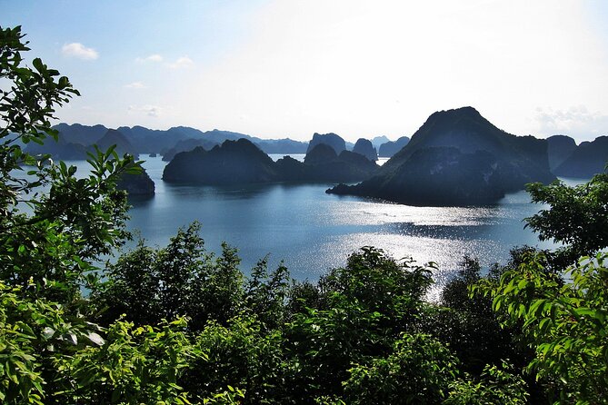 Halong Bay Cruise 2 Days - 1 Night with 5 Star Luxury - What the Cruise Gets Right