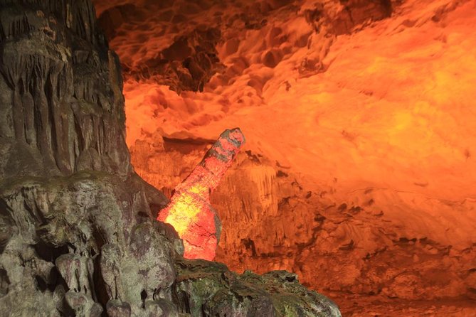 Halong Bay Cruise Day Trip: Titop island, Surprise cave, Swimming, Kayaking - Kayaking around Luon Cave