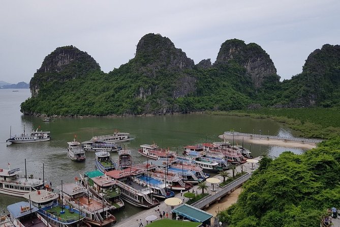 Halong Bay Cruise Tour from Hanoi with Kayak Adventure - Cruising among Halong Bay’s limestone islands