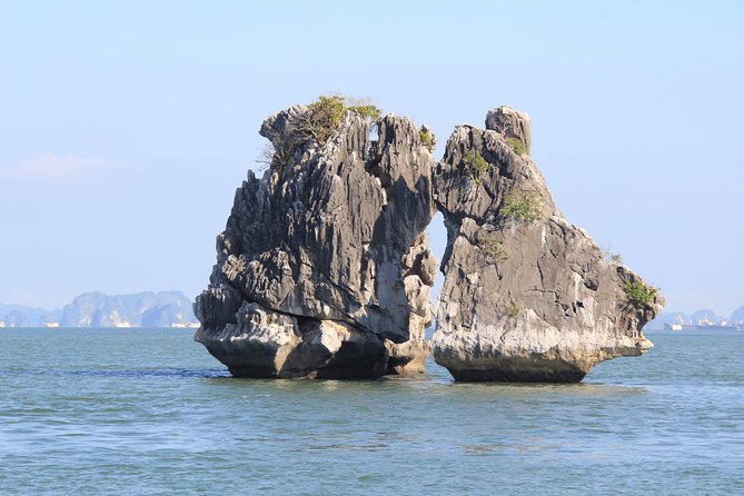 Halong bay full day trip: Visit Surprise cave, Titop island, kayaking & swimming - Lunch on board and the value of the $40 fare